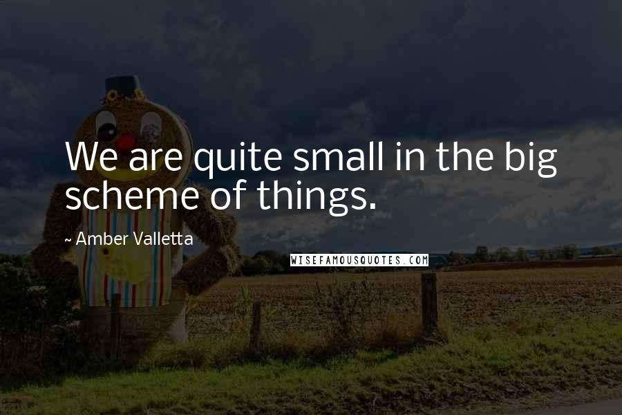 Amber Valletta Quotes: We are quite small in the big scheme of things.