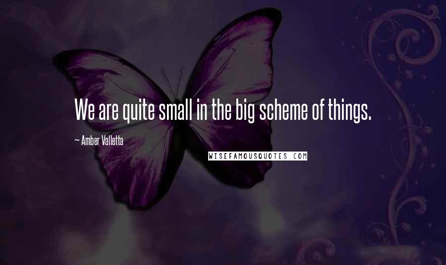 Amber Valletta Quotes: We are quite small in the big scheme of things.