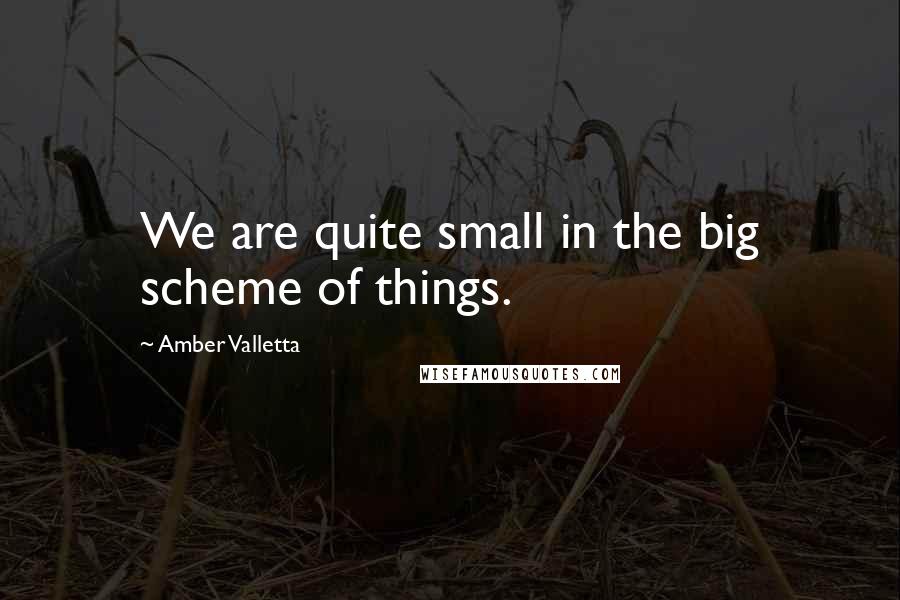 Amber Valletta Quotes: We are quite small in the big scheme of things.