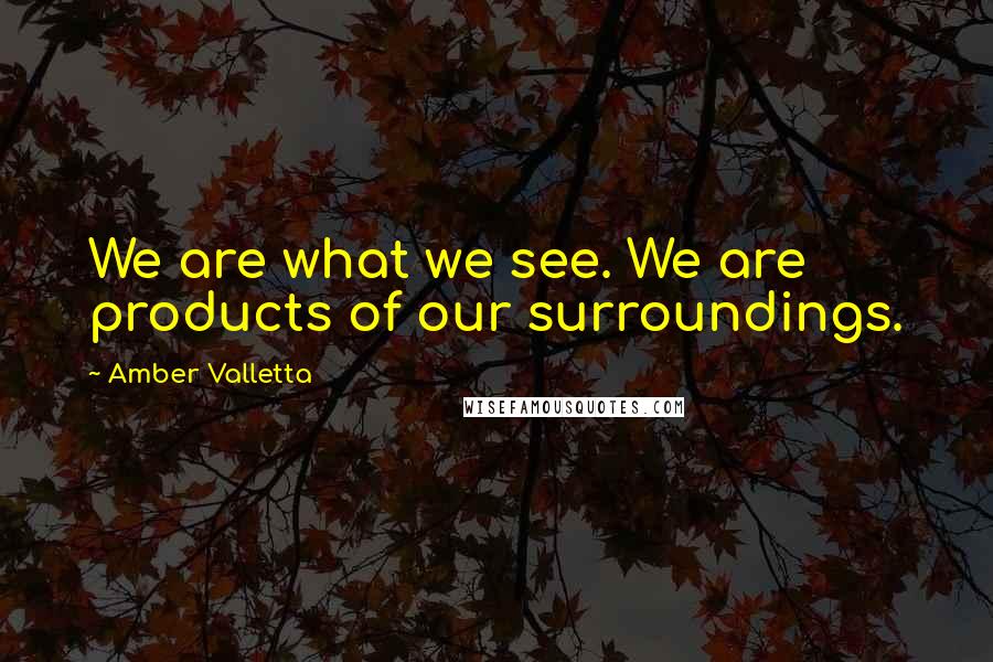 Amber Valletta Quotes: We are what we see. We are products of our surroundings.