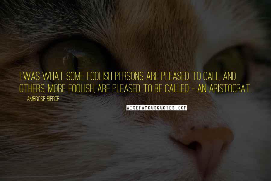 Ambrose Bierce Quotes: I was what some foolish persons are pleased to call, and others, more foolish, are pleased to be called - an aristocrat.