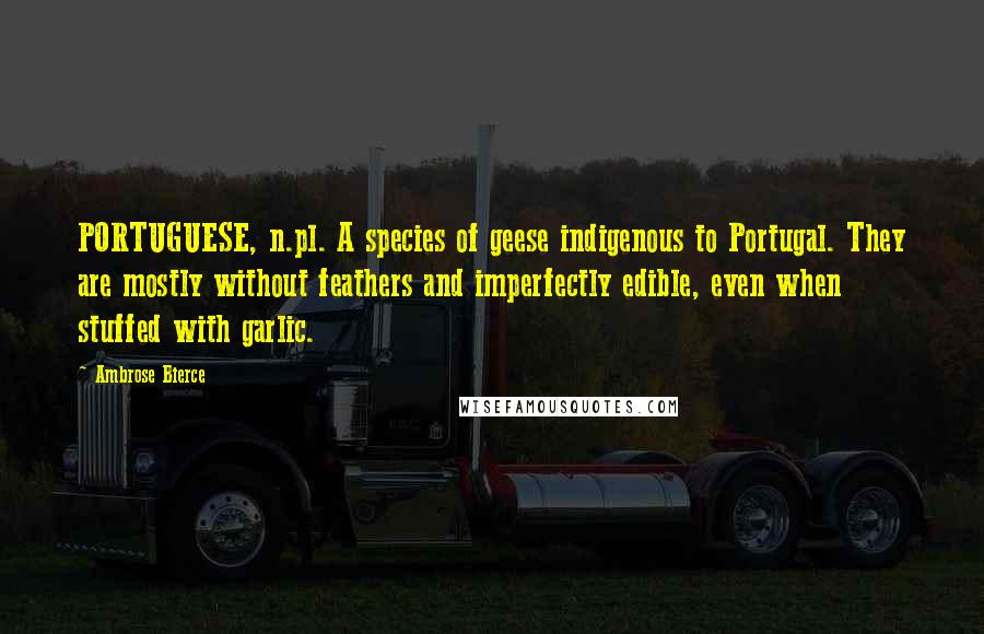 Ambrose Bierce Quotes: PORTUGUESE, n.pl. A species of geese indigenous to Portugal. They are mostly without feathers and imperfectly edible, even when stuffed with garlic.