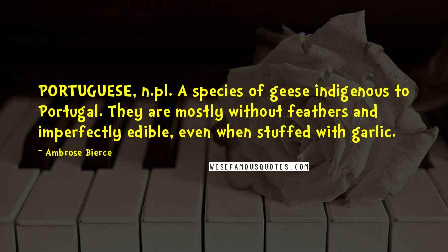 Ambrose Bierce Quotes: PORTUGUESE, n.pl. A species of geese indigenous to Portugal. They are mostly without feathers and imperfectly edible, even when stuffed with garlic.