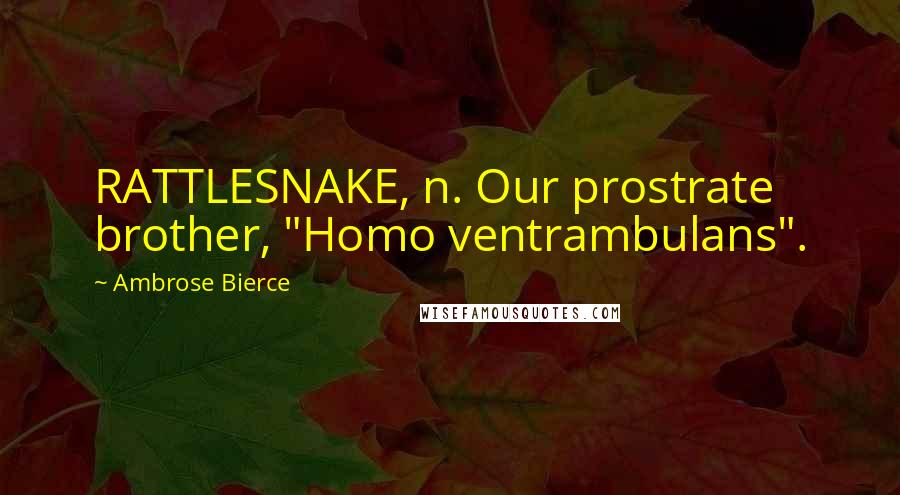 Ambrose Bierce Quotes: RATTLESNAKE, n. Our prostrate brother, "Homo ventrambulans".