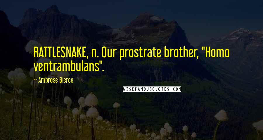 Ambrose Bierce Quotes: RATTLESNAKE, n. Our prostrate brother, "Homo ventrambulans".