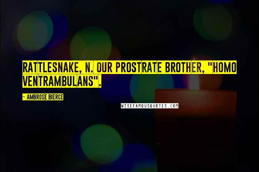Ambrose Bierce Quotes: RATTLESNAKE, n. Our prostrate brother, "Homo ventrambulans".