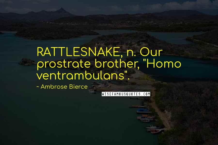 Ambrose Bierce Quotes: RATTLESNAKE, n. Our prostrate brother, "Homo ventrambulans".