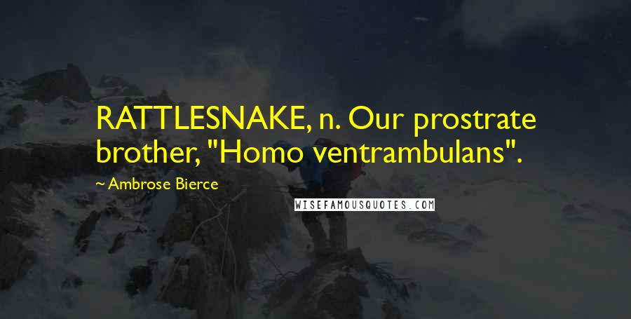 Ambrose Bierce Quotes: RATTLESNAKE, n. Our prostrate brother, "Homo ventrambulans".