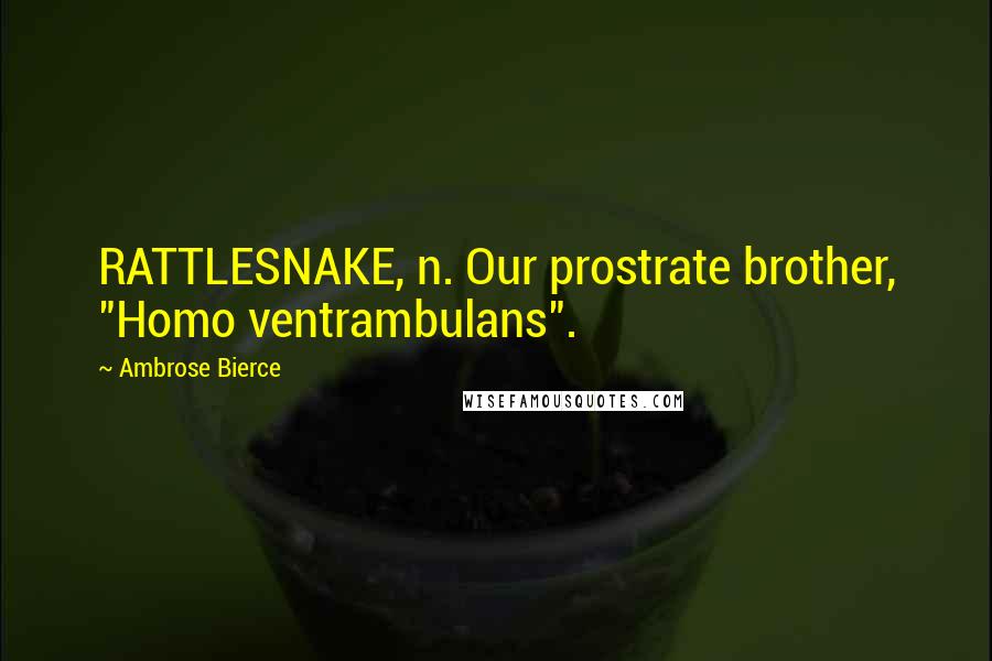 Ambrose Bierce Quotes: RATTLESNAKE, n. Our prostrate brother, "Homo ventrambulans".