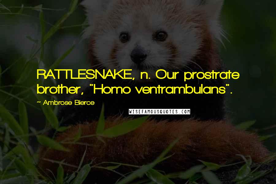 Ambrose Bierce Quotes: RATTLESNAKE, n. Our prostrate brother, "Homo ventrambulans".