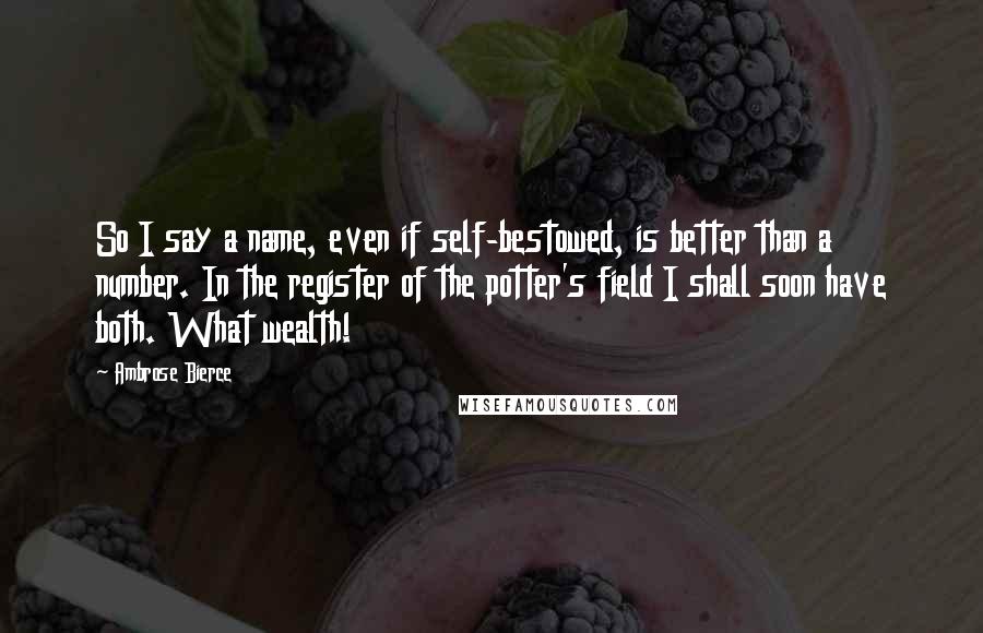 Ambrose Bierce Quotes: So I say a name, even if self-bestowed, is better than a number. In the register of the potter's field I shall soon have both. What wealth!