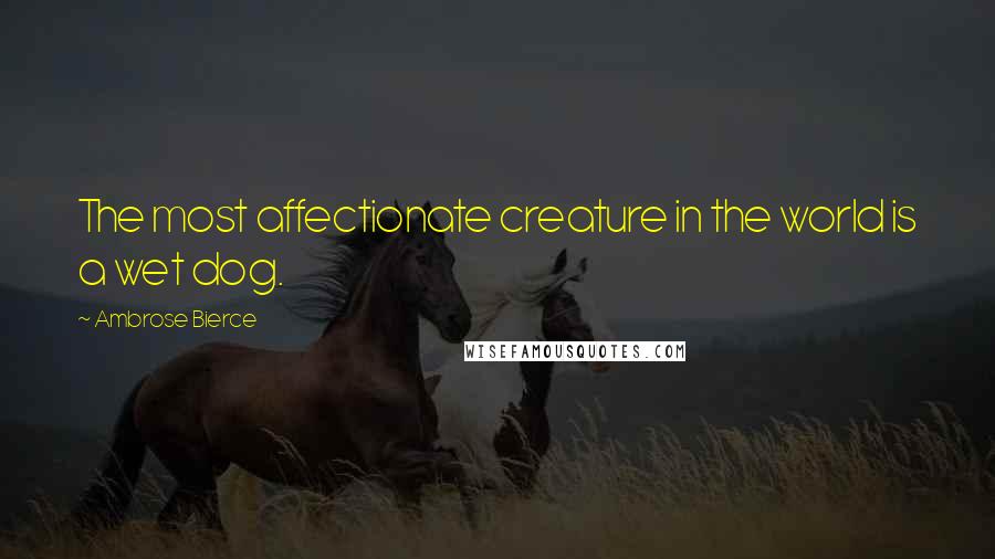 Ambrose Bierce Quotes: The most affectionate creature in the world is a wet dog.