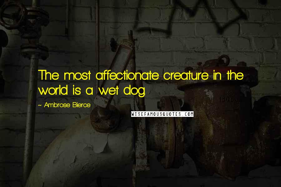 Ambrose Bierce Quotes: The most affectionate creature in the world is a wet dog.