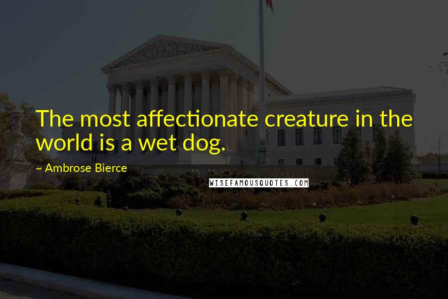 Ambrose Bierce Quotes: The most affectionate creature in the world is a wet dog.