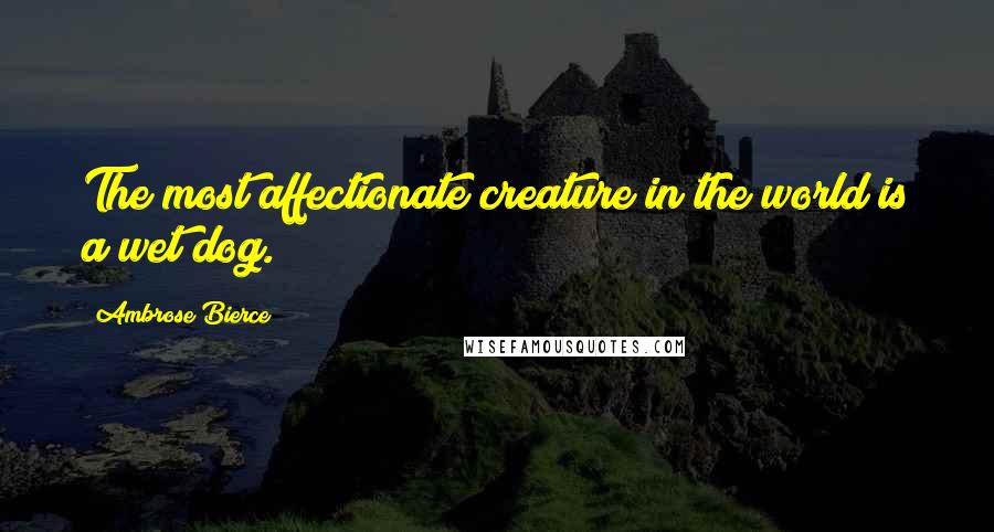 Ambrose Bierce Quotes: The most affectionate creature in the world is a wet dog.