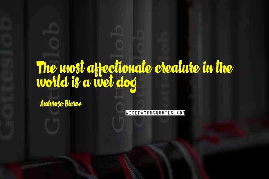 Ambrose Bierce Quotes: The most affectionate creature in the world is a wet dog.