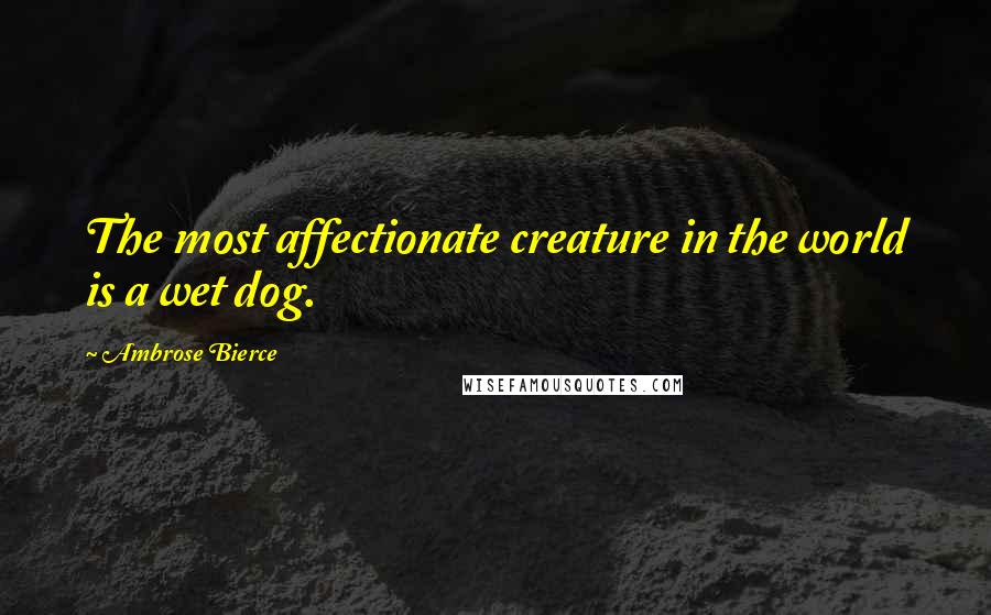 Ambrose Bierce Quotes: The most affectionate creature in the world is a wet dog.