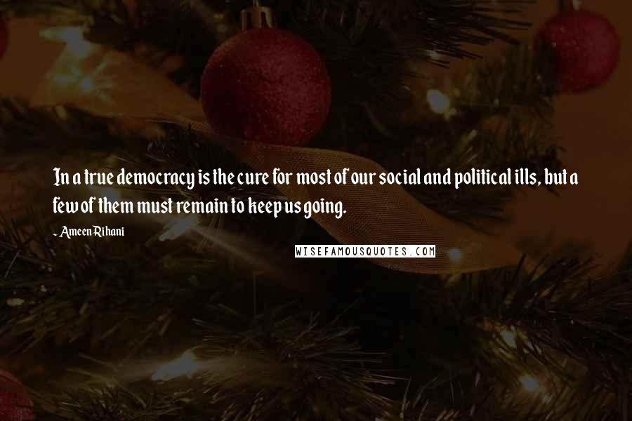 Ameen Rihani Quotes: In a true democracy is the cure for most of our social and political ills, but a few of them must remain to keep us going.