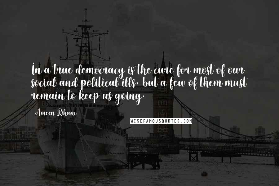 Ameen Rihani Quotes: In a true democracy is the cure for most of our social and political ills, but a few of them must remain to keep us going.