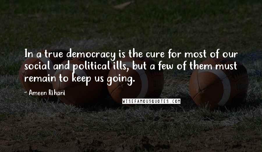 Ameen Rihani Quotes: In a true democracy is the cure for most of our social and political ills, but a few of them must remain to keep us going.