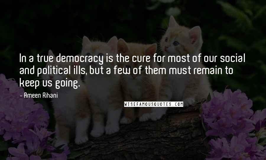 Ameen Rihani Quotes: In a true democracy is the cure for most of our social and political ills, but a few of them must remain to keep us going.