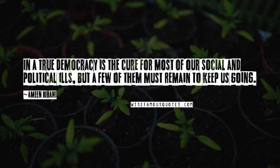 Ameen Rihani Quotes: In a true democracy is the cure for most of our social and political ills, but a few of them must remain to keep us going.