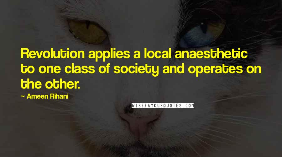 Ameen Rihani Quotes: Revolution applies a local anaesthetic to one class of society and operates on the other.