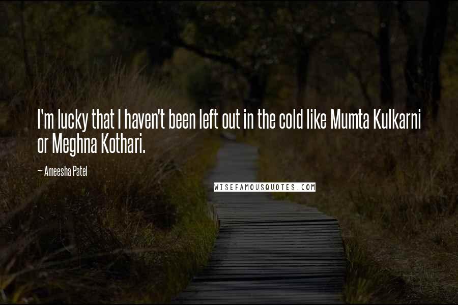 Ameesha Patel Quotes: I'm lucky that I haven't been left out in the cold like Mumta Kulkarni or Meghna Kothari.