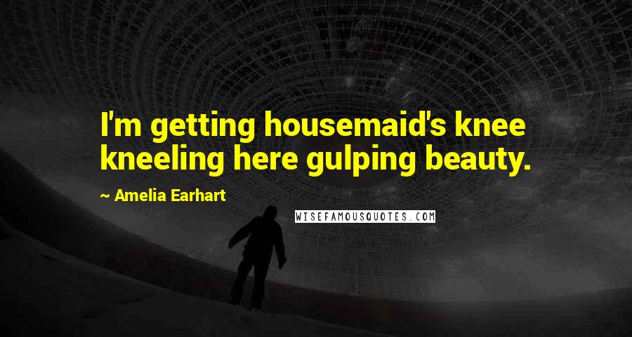 Amelia Earhart Quotes: I'm getting housemaid's knee kneeling here gulping beauty.