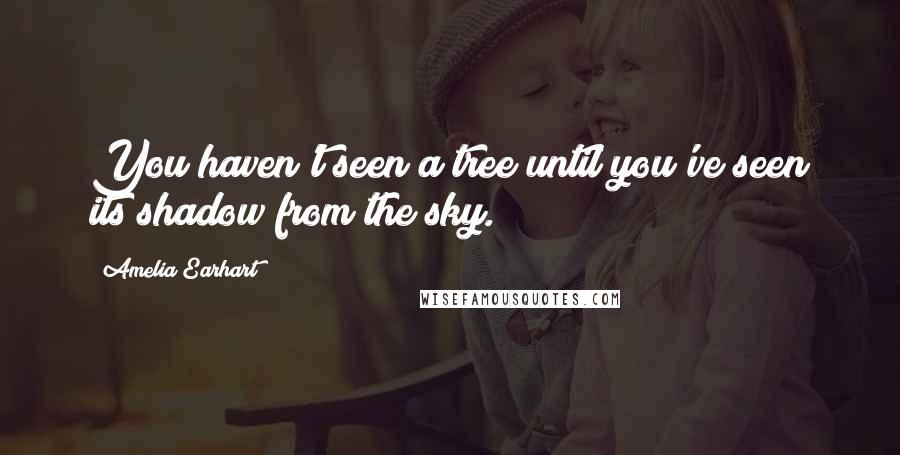 Amelia Earhart Quotes: You haven't seen a tree until you've seen its shadow from the sky.