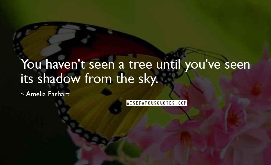 Amelia Earhart Quotes: You haven't seen a tree until you've seen its shadow from the sky.