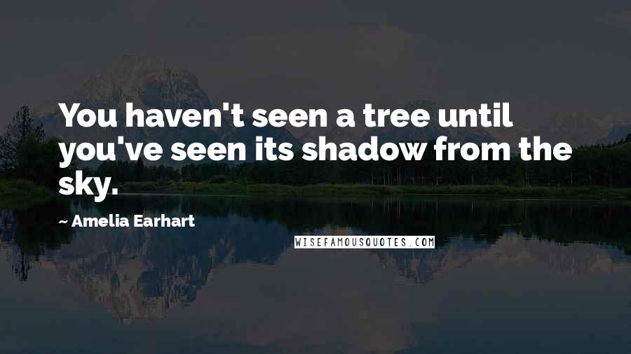 Amelia Earhart Quotes: You haven't seen a tree until you've seen its shadow from the sky.