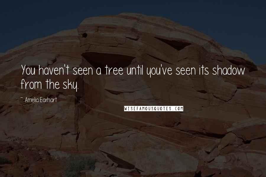 Amelia Earhart Quotes: You haven't seen a tree until you've seen its shadow from the sky.