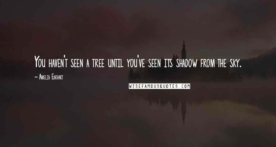Amelia Earhart Quotes: You haven't seen a tree until you've seen its shadow from the sky.