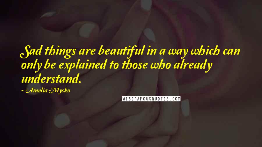Amelia Mysko Quotes: Sad things are beautiful in a way which can only be explained to those who already understand.