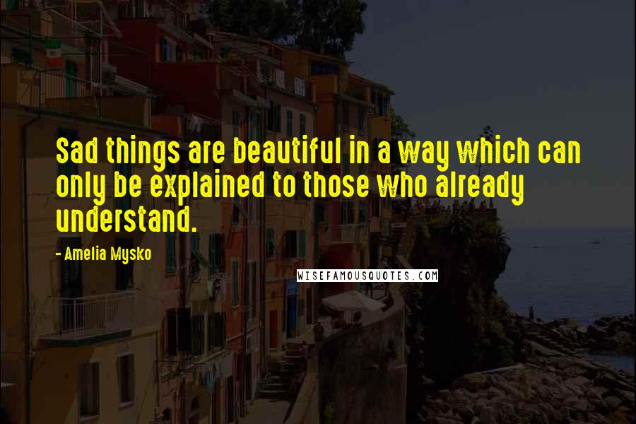 Amelia Mysko Quotes: Sad things are beautiful in a way which can only be explained to those who already understand.