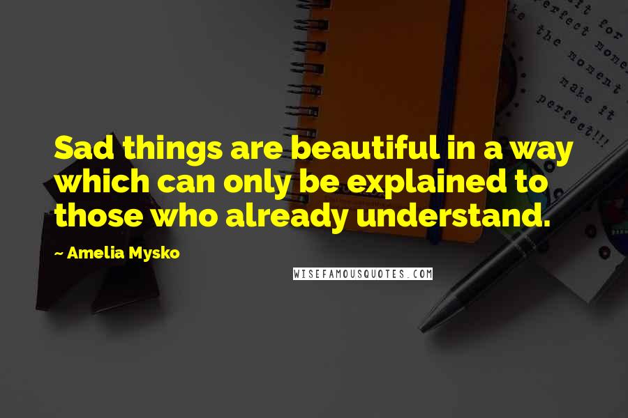 Amelia Mysko Quotes: Sad things are beautiful in a way which can only be explained to those who already understand.