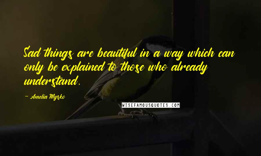 Amelia Mysko Quotes: Sad things are beautiful in a way which can only be explained to those who already understand.