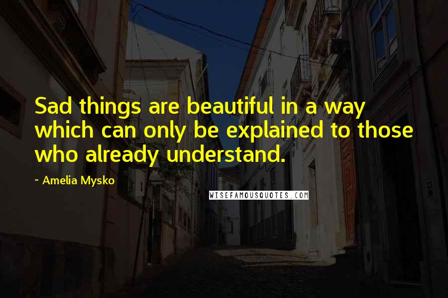 Amelia Mysko Quotes: Sad things are beautiful in a way which can only be explained to those who already understand.