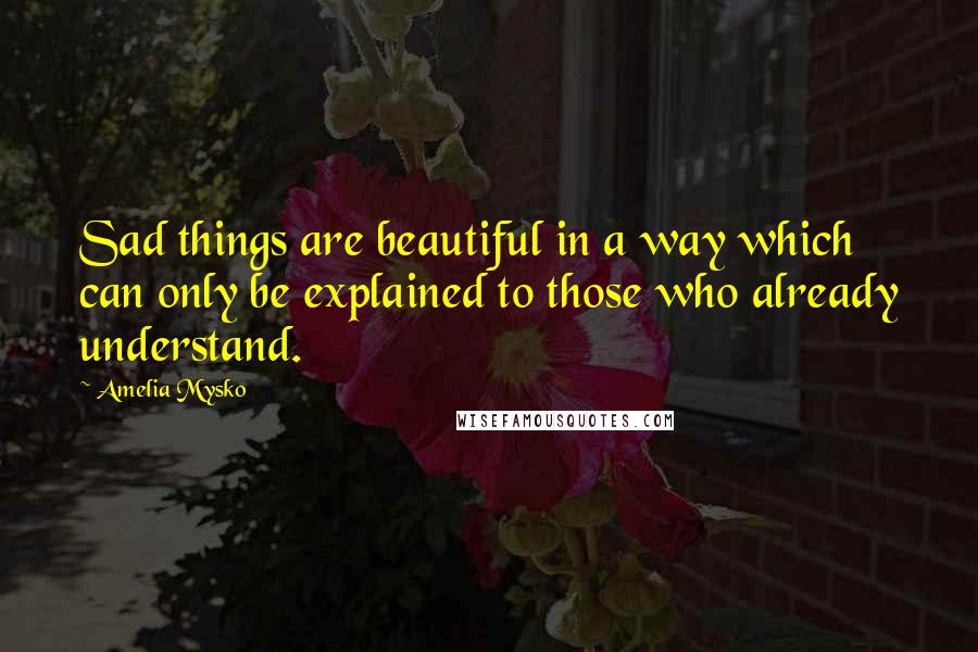 Amelia Mysko Quotes: Sad things are beautiful in a way which can only be explained to those who already understand.