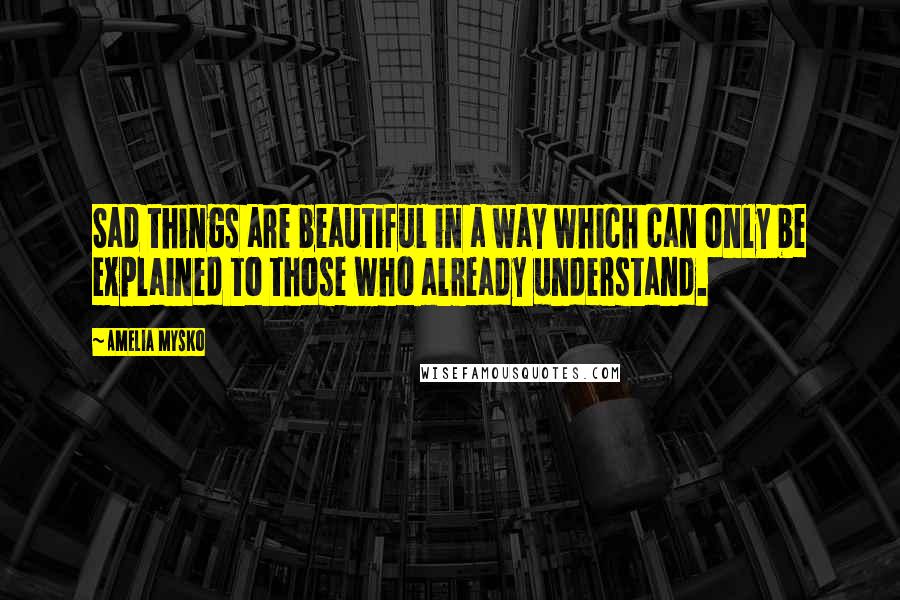 Amelia Mysko Quotes: Sad things are beautiful in a way which can only be explained to those who already understand.