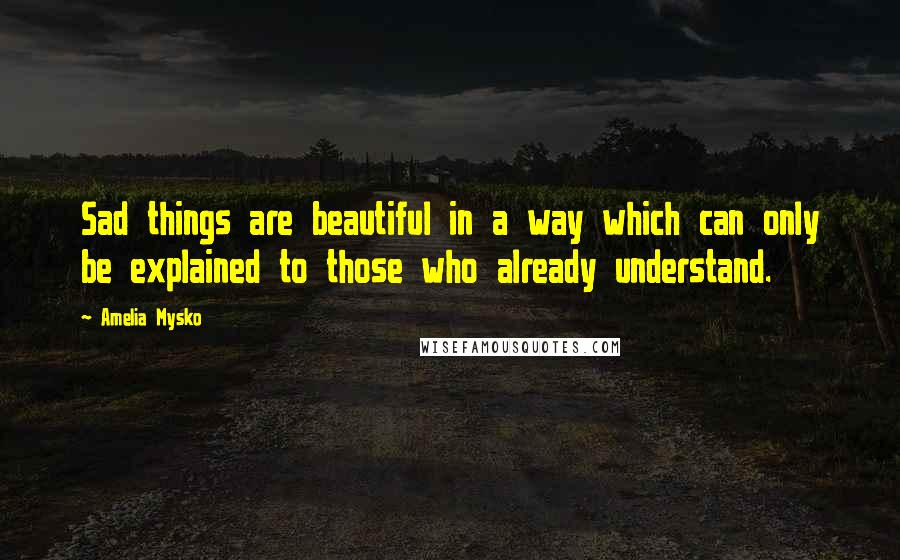 Amelia Mysko Quotes: Sad things are beautiful in a way which can only be explained to those who already understand.