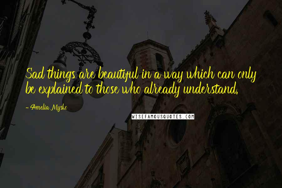 Amelia Mysko Quotes: Sad things are beautiful in a way which can only be explained to those who already understand.