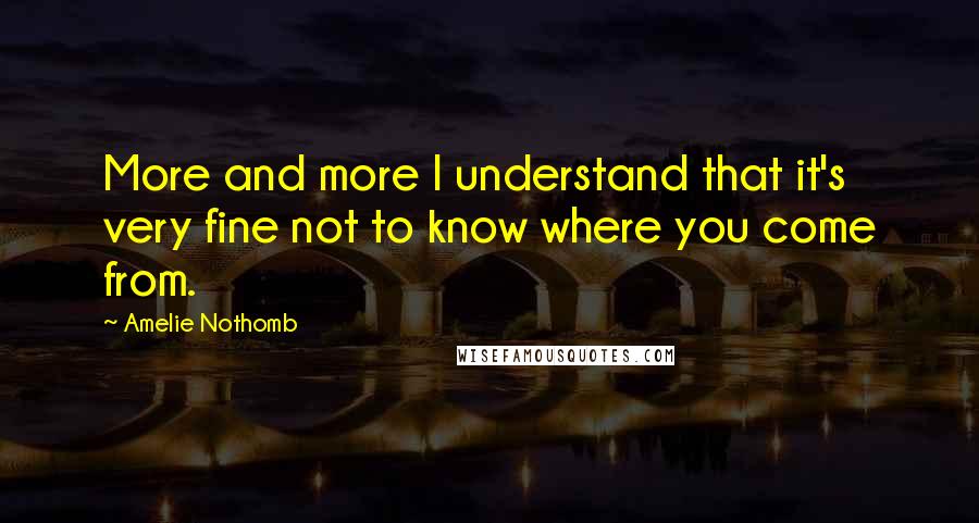 Amelie Nothomb Quotes: More and more I understand that it's very fine not to know where you come from.