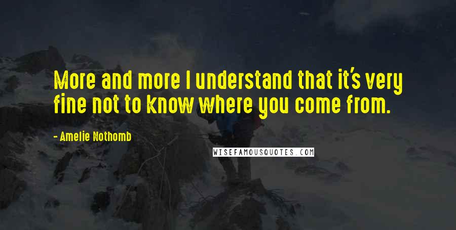 Amelie Nothomb Quotes: More and more I understand that it's very fine not to know where you come from.