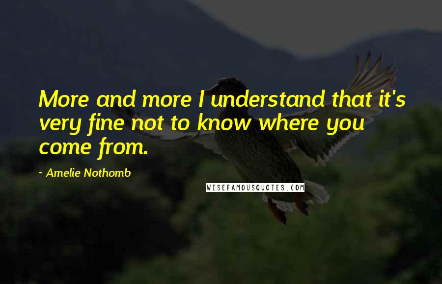 Amelie Nothomb Quotes: More and more I understand that it's very fine not to know where you come from.