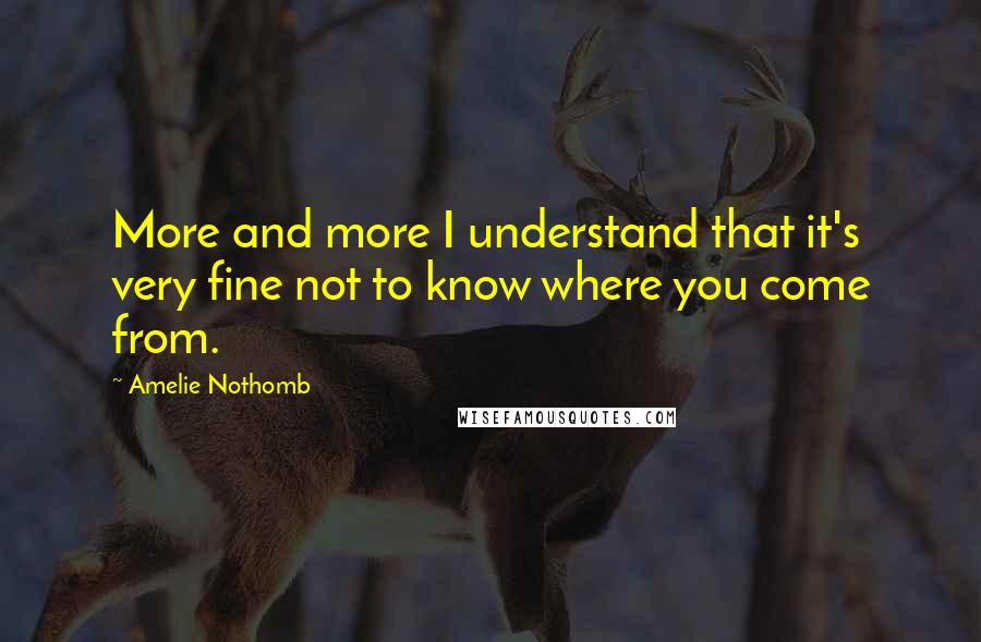 Amelie Nothomb Quotes: More and more I understand that it's very fine not to know where you come from.