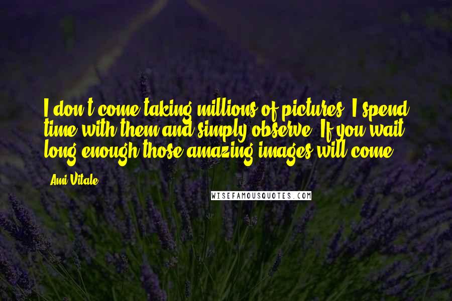 Ami Vitale Quotes: I don't come taking millions of pictures. I spend time with them and simply observe. If you wait long enough those amazing images will come.