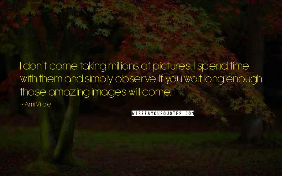 Ami Vitale Quotes: I don't come taking millions of pictures. I spend time with them and simply observe. If you wait long enough those amazing images will come.