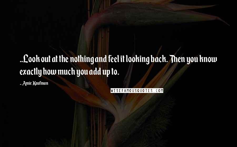 Amie Kaufman Quotes: ..Look out at the nothing and feel it looking back. Then you know exactly how much you add up to.